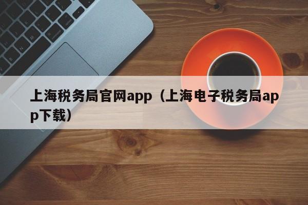 上海税务局官网app（上海电子税务局app下载）